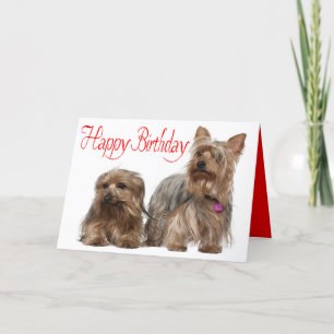 Gelukkige Verjaardag Yorkshire Terrier Puppy Rood  Kaart