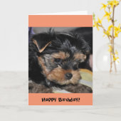 Gelukkige verjaardag! Yorkshire Terrier-Wenskaart Kaart (Gele Bloem)