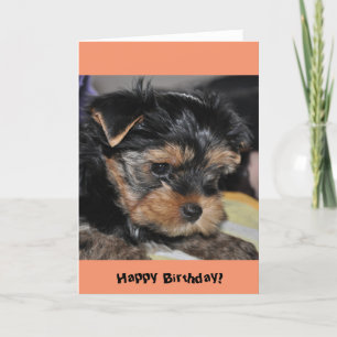 Gelukkige verjaardag! Yorkshire Terrier-Wenskaart Kaart