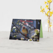 Gelukkige Verjaardag Zuster Vrouw Kardinaal Kaart (Gele Bloem)