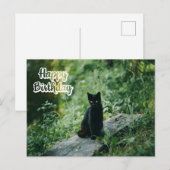 Gelukkige Verjaardag Zwarte Kat Buiten Briefkaart (Voorkant / Achterkant)