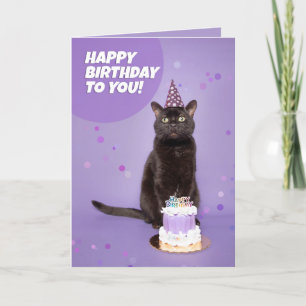 Gelukkige Verjaardag Zwarte Kat In Feest Pet Met T Feestdagen Kaart