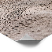 Gelukkige Verjaardagsballonnen in Santorini, Griek Poster (Hoek)