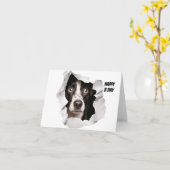 Gelukkige Verjaardagshond die door gebroken docume Kaart (Gele Bloem)