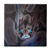 Gelukkige Verjaardagsslang Tegeltje (Voorkant)