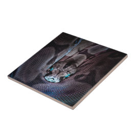 Gelukkige Verjaardagsslang Tegeltje