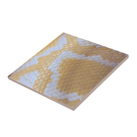 Gelukkige Verjaardagsslang Tegeltje (Zijkant)