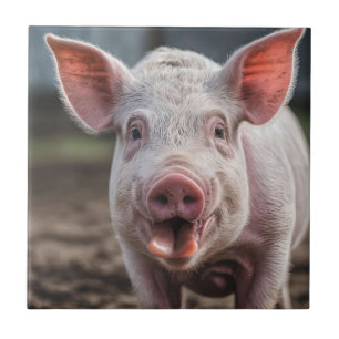 Gelukkige Witte Varkens Tong Uitsteken,  Tegeltje