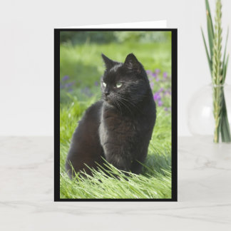 Gelukkige Zwarte Kat Kaart