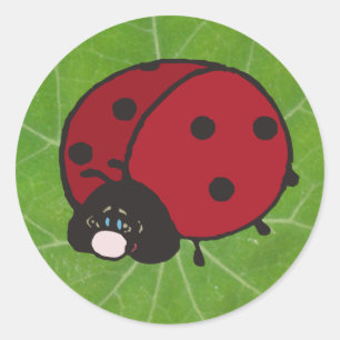 geluksdame bug ronde sticker
