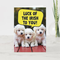 Geluksvollen Ierse Puppies Mooie Kaart