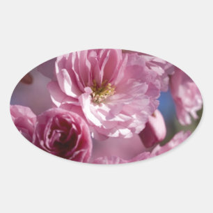 Gelukzalige Bloesems Ovale Sticker