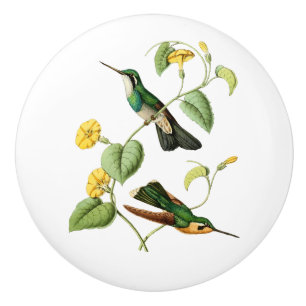 Gem Hummingbird, witte geduroteerde bergmonniksvog Keramische Knop