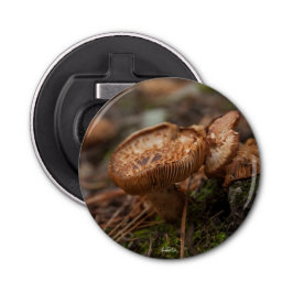 Gemagnetiseerde, foto flessenopener van button flesopener