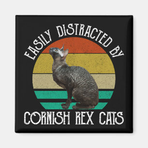 Gemakkelijk Afgeleid Door Cornish Rex Katten Magneet