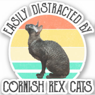 Gemakkelijk Afgeleid Door Cornish Rex Katten Sticker
