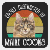Gemakkelijk afgeleid door Maine Coons Vierkante Sticker (Voorkant)
