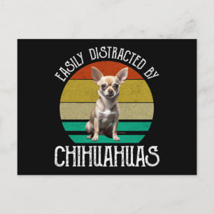 Gemakkelijk verstoord door Chihuahuas Briefkaart