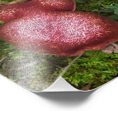 gemarmerde tweeling foto afdruk (Hoek)