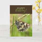 Gemarmerde witte vlinder op gras kaart (Gele Bloem)