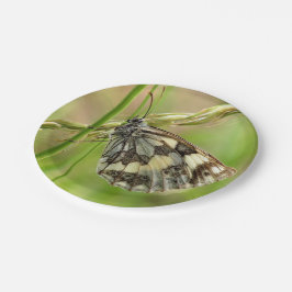 Gemarmerde witte vlinder op gras papieren bordje