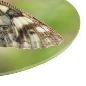 Gemarmerde witte vlinder op gras snijplank (Hoek)