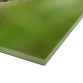 Gemarmerde witte vlinder op gras snijplank (Hoek)