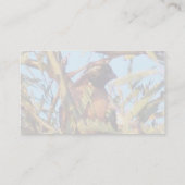 Gemaskeerd Bob White Quail Visitekaartje (Achterkant)