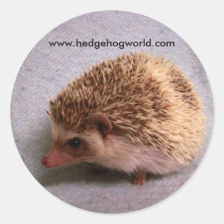 Gemaskerde bandit sticker