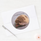 Gemaskerde bandit sticker (Envelop)