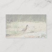 Gemaskerde Bobwhite Visitekaartje (Achterkant)