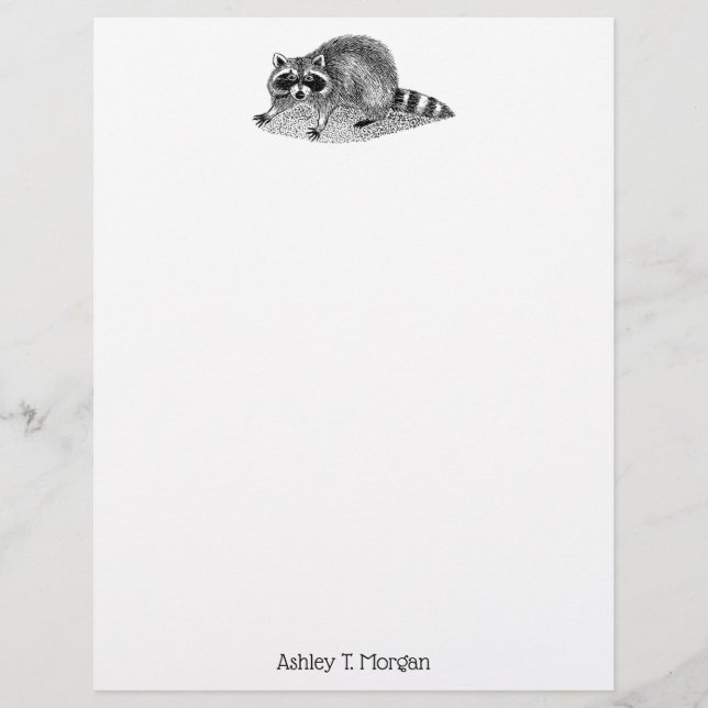  gemaskerde Raccoon (Voorkant)