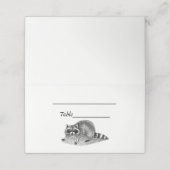  gemaskerde Raccoon (Buitenkant ongevouwen)