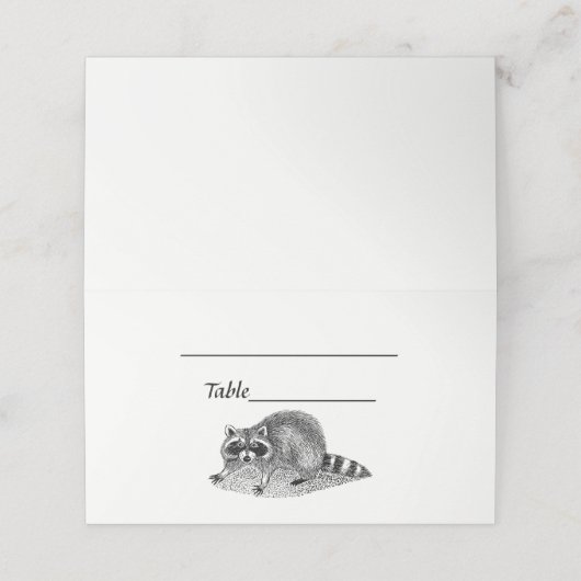  gemaskerde Raccoon (Buitenkant ongevouwen)