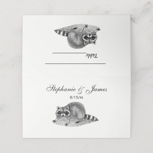  gemaskerde Raccoon (Buitenkant ongevouwen)