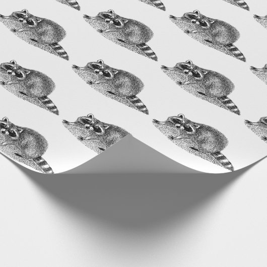 gemaskerde Raccoon Cadeaupapier (Hoek)