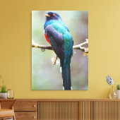Gemaskerde Trogon Canvas Afdruk (Insitu (Woonkamer))