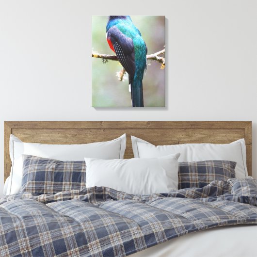 Gemaskerde Trogon Canvas Afdruk (Insitu (Slaapkamer))