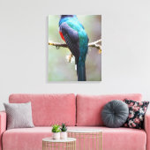 Gemaskerde Trogon Canvas Afdruk (Insitu (Woonkamer))