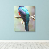 Gemaskerde Trogon Canvas Afdruk (Insitu (Houten vloer))