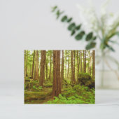 Gematigd regenwoud van Alaska Briefkaart (Staand voorkant)