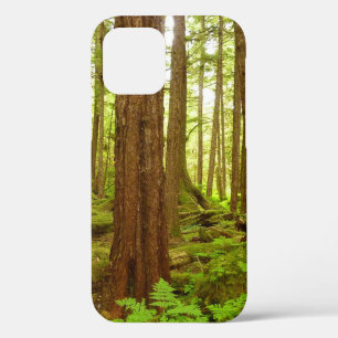 Gematigd regenwoud van Alaska iPhone 12 Hoesje