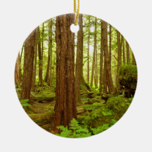 Gematigd regenwoud van Alaska Keramisch Ornament