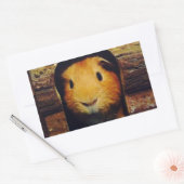 Gember cavia geschenken rechthoekige sticker (Envelop)