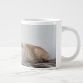 Gember en witte kitten extra grote beker (Rechts)