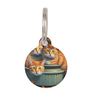 Gemberkatten Potplanten, Huisdierentag Huisdierpenning