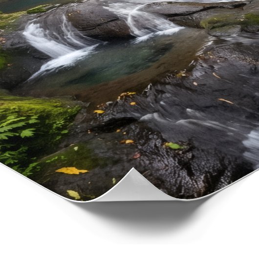 Gembleng Waterfall Bali Jungle Wall Art Poster (Coin)