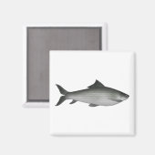 Gemeenschappelijk etiket magneet (Voorkant / Achterkant)