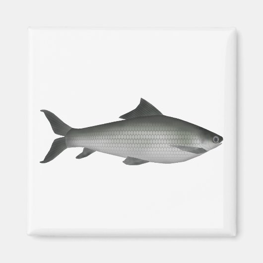 Gemeenschappelijk etiket magneet (Voorkant)