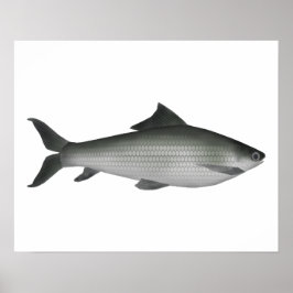 Gemeenschappelijk etiket poster